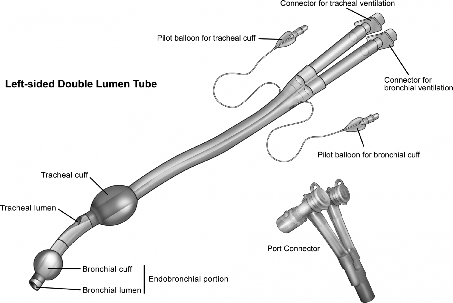 double lumen